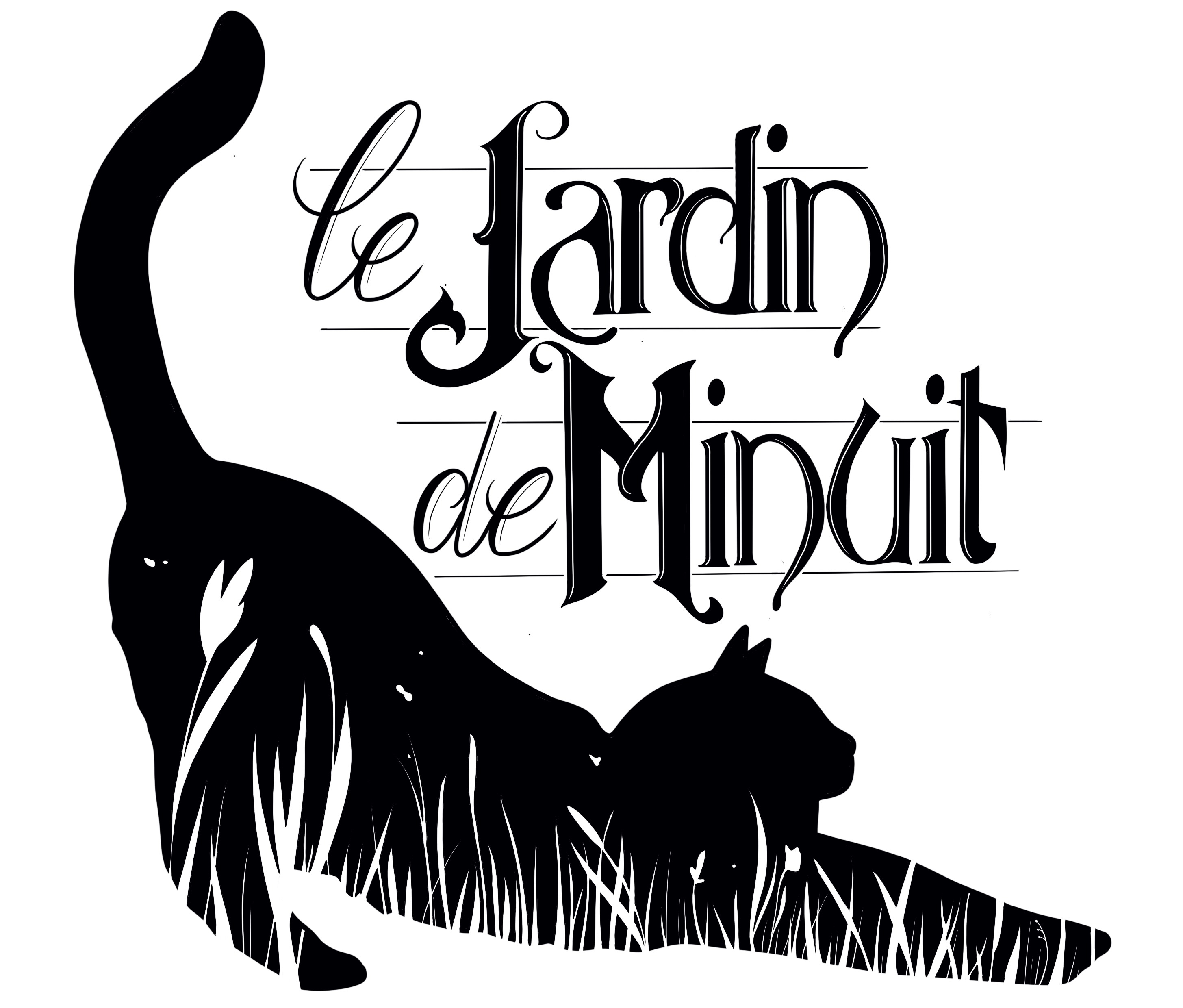 image profil